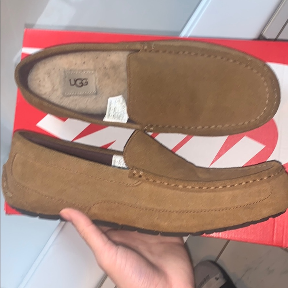 Ugg slipper